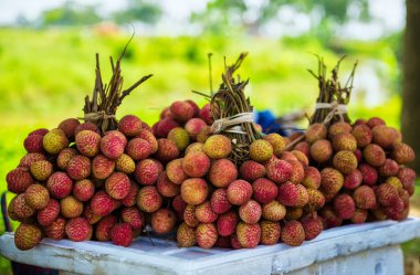 Lychees meyve Vietnam