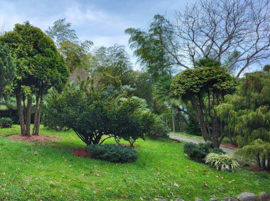 Parkın güzel bahçesi