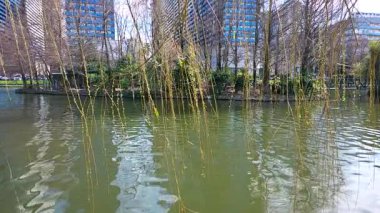 Şehir parkının güzel manzarası