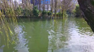 Arka planda şehir yaşamına bakış