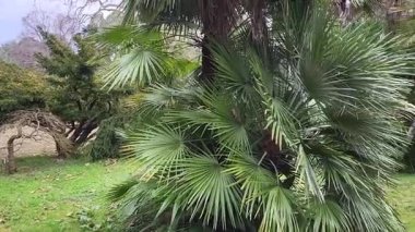 Parkın güzel manzarası