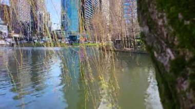 Şehir parkı manzarası