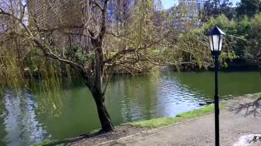 Parkın güzel manzarası