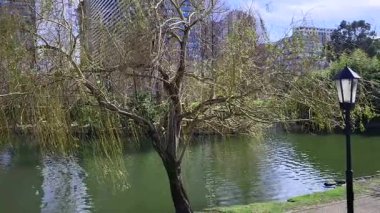 Barselona şehrinin manzarası