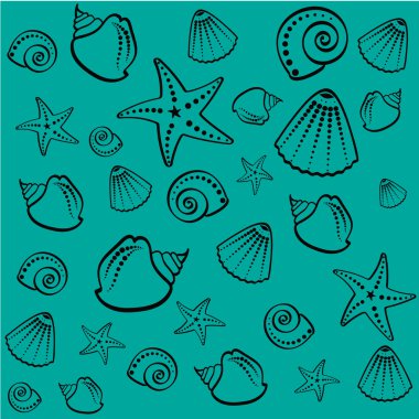 Yaz deniz kabukları resim