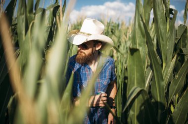 bir Mısır alanında çiftçi