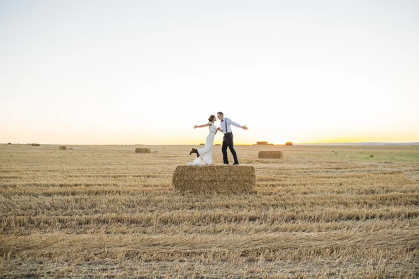 Yeni evli çift sahada dans ediyor — Stok fotoğraf