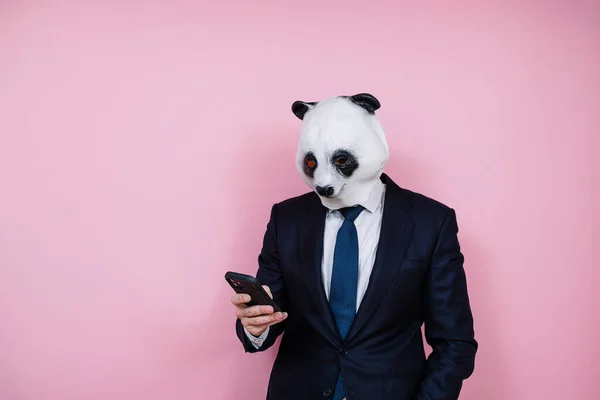 Άντρας Μάσκα Panda Στέκεται Έξυπνο Τηλέφωνο Στον Ροζ Τοίχο — Φωτογραφία Αρχείου