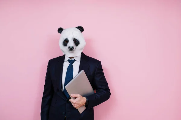 Férfi Laptop Visel Panda Maszk Rózsaszín Fal — Stock Fotó