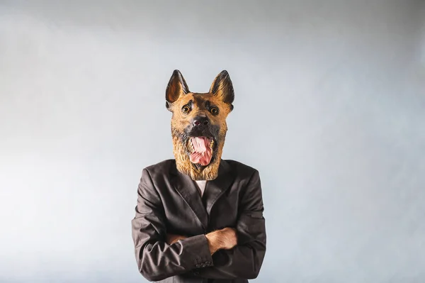 Ein Junger Mann Mit Latex Hundekopfmaske Posiert Vor Der Kamera — Stockfoto