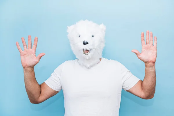 Άντρας Μάσκα Πολικής Αρκούδας Που Δείχνει Την Παλάμη Των Χεριών — Φωτογραφία Αρχείου