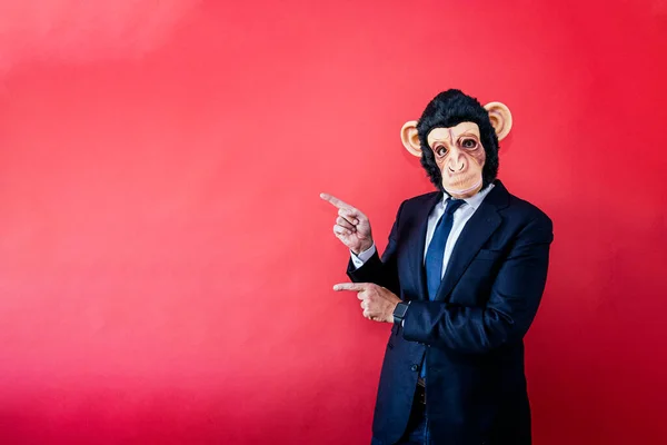 Бізнесмен Мавпою Вказує Бік — стокове фото