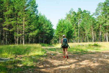 Çam ormanlarında çamurlu bir yolda yürüyen bir kadın, açık hava macerasından zevk alıyor.