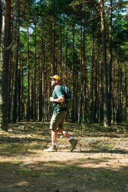 Yetişkin bir adam sırt çantasıyla çam ormanlarında doğa keşfi yapıyor.