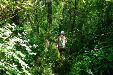 Yaz boyunca yemyeşil yapraklarla çevrili dar bir orman yolunda yürüyen bir kadın.