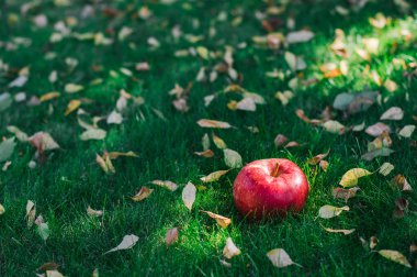 elma yeşil çimenlerin üzerinde
