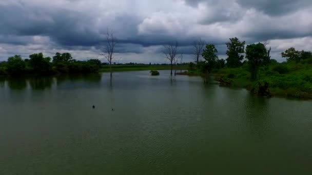 Fliegen über den lake.asia farm view. — Stockvideo