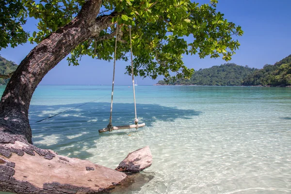 Swing ve açık mavi gökyüzü ile shore yanında ağaç