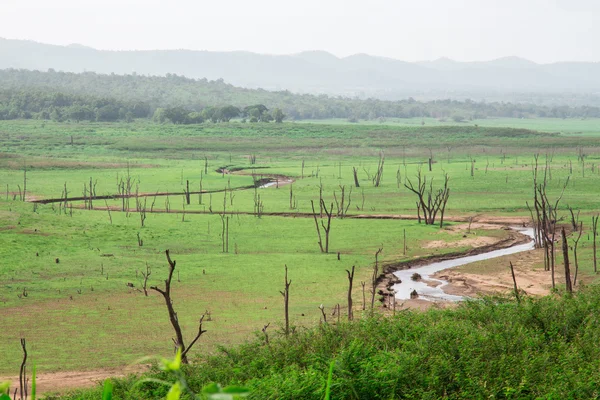 Eğri nehir yeşil çim alan ve gökyüzü ile