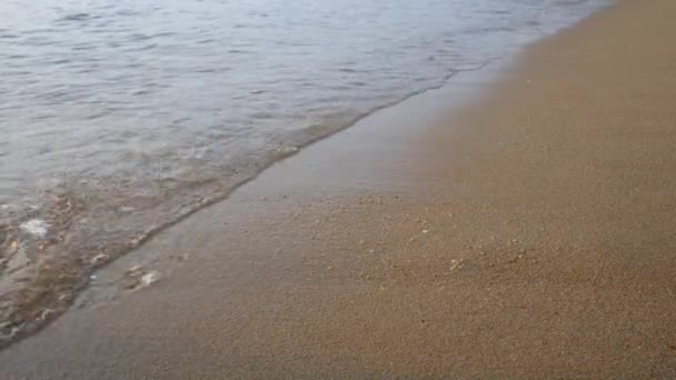 Vrouw gooien plastic fles afval op zand strand — Stockvideo
