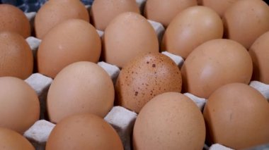 Yumurta kutusunda çiğ tavuk yumurtası.