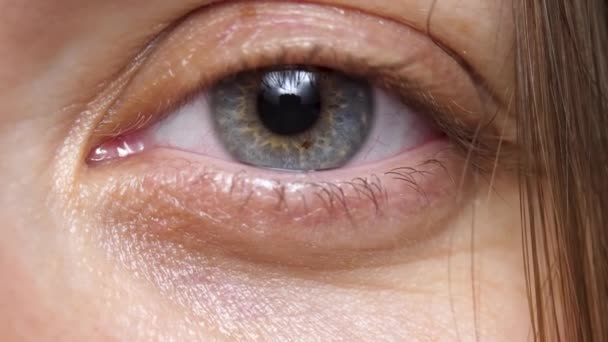 女性的眼睛，瞳孔周围的灰色和蓝色区域是虹膜 — 图库视频影像
