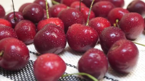 Солодкі стиглі соковиті темно-червоні вишні з краплями води — стокове відео