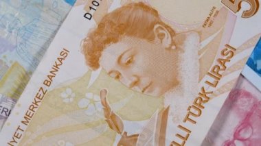 Kadın hakları savunucusu ve yardımsever Fatma Aliye Topuz 'un 50 liralık banknotu
