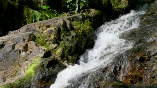 A patak sziklák között folyik — Stock videók