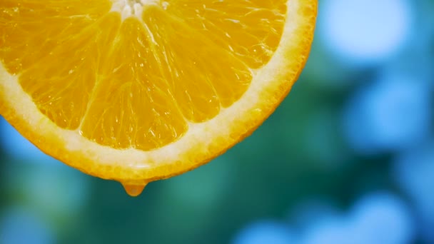 Saft fließt aus Scheiben Orangenfrucht — Stockvideo