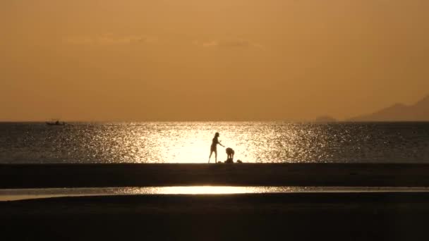 Мати і дочка стоять на фоні заходу сонця — стокове відео