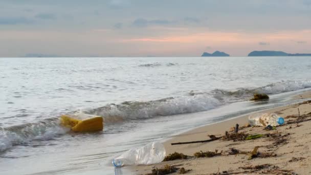 Bottiglie di plastica spazzatura sulla spiaggia di sabbia d'acqua — Video Stock