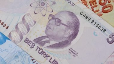 Mor 5 lira banknotun tersi