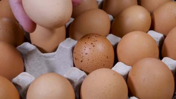 Mão de homem irreconhecível tomar ovos de galinha crus — Vídeo de Stock