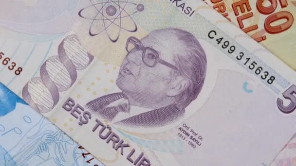 Omgekeerde van paars 5 Turkse lira bankbiljet — Stockvideo