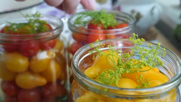 Mujer mano pone eneldo en tarro de vidrio con tomates rojos — Vídeo de stock