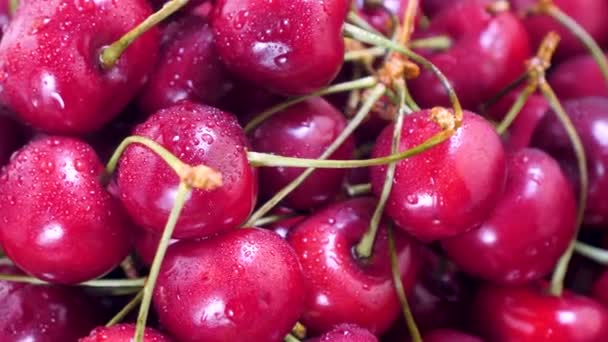 Cerezas rojas con gotas de agua — Vídeos de Stock