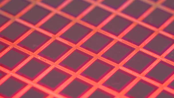 Silicon wafer reflects in red light color — Stock Video