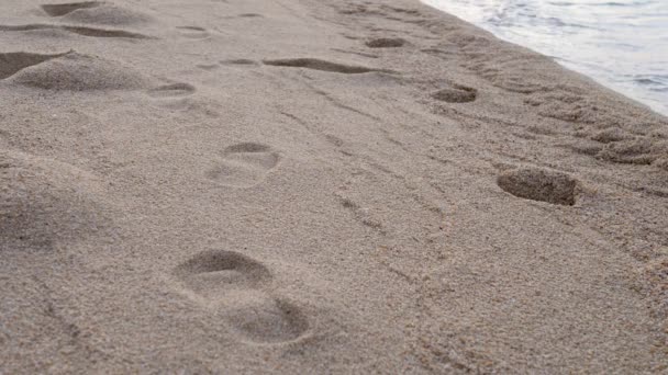 Oigenkännlig manlig person gå på sandstrand — Stockvideo