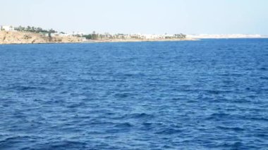 Su dalgalarla körfezde yüzüyor