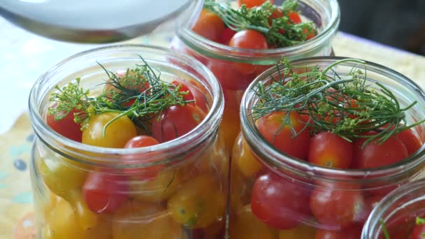 Domowej roboty pomidory w puszce z ziołami — Wideo stockowe