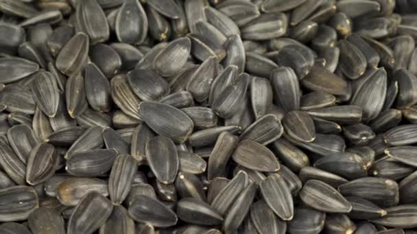 Rotace černých slunečnicových semen — Stock video