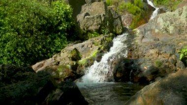 Dağ ormanlarına su düşüyor.