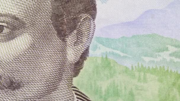 作家和乌克兰诗人伊万 · 弗兰科的脸 — 图库视频影像