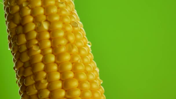 Grains of ripe yellow fresh corn on cobs and water drops on green background — Stock Video