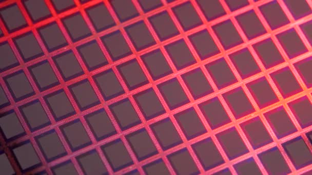 Oblea de silicio con microchip semiconductor en luz roja — Vídeo de stock