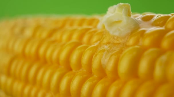 Pedazo de mantequilla se derrite en maíz caliente — Vídeos de Stock