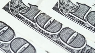 Yüz Amerikan Doları.