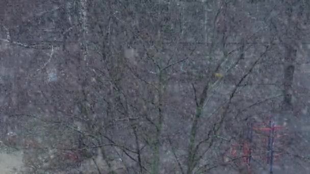 吹雪の中の冬には木の枝に雪が降る — ストック動画
