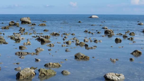Piedras de coral muertas sobre fondo de superficie — Vídeos de Stock